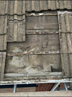 Gallery Image 14
