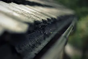 Guttering Services